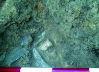 Cronica Cercetărilor Arheologice din România, Campania 2015. Raportul nr. 43, Roşiori, La Humărie (Ţarina Veche).<br /> Sectorul planse\jpeg\pl-3.<br /><a href='CronicaCAfotografii/2015/043-Rosiori/pl-2-1.jpg' target=_blank>Priveşte aceeaşi imagine într-o fereastră nouă</a>