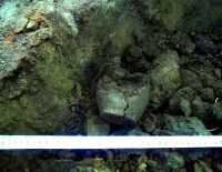 Cronica Cercetărilor Arheologice din România, Campania 2015. Raportul nr. 43, Roşiori, La Humărie (Ţarina Veche).<br /> Sectorul planse\jpeg\pl-3.<br /><a href='CronicaCAfotografii/2015/043-Rosiori/pl-2-2.jpg' target=_blank>Priveşte aceeaşi imagine într-o fereastră nouă</a>