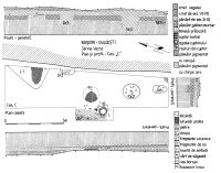 Cronica Cercetărilor Arheologice din România, Campania 2015. Raportul nr. 43, Roşiori, La Humărie (Ţarina Veche).<br /> Sectorul planse\jpeg\pl-3.<br /><a href='CronicaCAfotografii/2015/043-Rosiori/pl-3-1.jpg' target=_blank>Priveşte aceeaşi imagine într-o fereastră nouă</a>