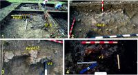 Chronicle of the Archaeological Excavations in Romania, 2015 Campaign. Report no. 51, Tăcuta, Dealul Miclea (Paic)<br /><a href='CronicaCAfotografii/2015/051-Tacuta-Dealul-Miclea/fig-4-tacuta-016-complexe-cas-i.jpg' target=_blank>Display the same picture in a new window</a>