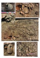 Chronicle of the Archaeological Excavations in Romania, 2015 Campaign. Report no. 58, Urlaţi, La Câmp (La Islaz)<br /><a href='CronicaCAfotografii/2015/058-Urlati/plansa-2.jpg' target=_blank>Display the same picture in a new window</a>