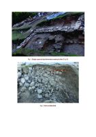 Chronicle of the Archaeological Excavations in Romania, 2015 Campaign. Report no. 62, Voineşti, Măilătoaia (Malul lui Cocoş).<br /> Sector Ilustratii.<br /><a href='CronicaCAfotografii/2015/062-Voinesti-Mailatoaia/voinesti-2015-ilustratie-page-1.jpg' target=_blank>Display the same picture in a new window</a>