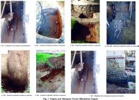Chronicle of the Archaeological Excavations in Romania, 2015 Campaign. Report no. 89, Coşula<br /><a href='CronicaCAfotografii/2015/089-Cosula/fig-1.jpg' target=_blank>Display the same picture in a new window</a>