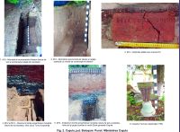 Chronicle of the Archaeological Excavations in Romania, 2015 Campaign. Report no. 89, Coşula<br /><a href='CronicaCAfotografii/2015/089-Cosula/fig-2.jpg' target=_blank>Display the same picture in a new window</a>