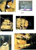 Cronica Cercetărilor Arheologice din România, Campania 2015. Raportul nr. 97, Mangalia<br /><a href='CronicaCAfotografii/2015/097-Mangalia/pl1.jpg' target=_blank>Priveşte aceeaşi imagine într-o fereastră nouă</a>