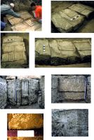 Cronica Cercetărilor Arheologice din România, Campania 2015. Raportul nr. 97, Mangalia<br /><a href='CronicaCAfotografii/2015/097-Mangalia/pl4.jpg' target=_blank>Priveşte aceeaşi imagine într-o fereastră nouă</a>