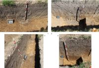 Cronica Cercetărilor Arheologice din România, Campania 2015. Raportul nr. 100, Negrileşti, Şcoala Generală (La Punte, Pin, Curtea Şcolii).<br /> Sectorul 2-Industria-materiilor-dure-animale.<br /><a href='CronicaCAfotografii/2015/100-Negrilesti/pl-16.jpg' target=_blank>Priveşte aceeaşi imagine într-o fereastră nouă</a>