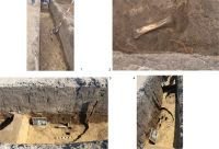 Cronica Cercetărilor Arheologice din România, Campania 2015. Raportul nr. 100, Negrileşti, Şcoala Generală (La Punte, Pin, Curtea Şcolii).<br /> Sectorul 2-Industria-materiilor-dure-animale.<br /><a href='CronicaCAfotografii/2015/100-Negrilesti/pl-19.jpg' target=_blank>Priveşte aceeaşi imagine într-o fereastră nouă</a>