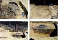 Cronica Cercetărilor Arheologice din România, Campania 2015. Raportul nr. 100, Negrileşti, Şcoala Generală (La Punte, Pin, Curtea Şcolii).<br /> Sectorul 2-Industria-materiilor-dure-animale.<br /><a href='CronicaCAfotografii/2015/100-Negrilesti/pl-30.jpg' target=_blank>Priveşte aceeaşi imagine într-o fereastră nouă</a>