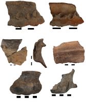 Cronica Cercetărilor Arheologice din România, Campania 2015. Raportul nr. 100, Negrileşti, Şcoala Generală (La Punte, Pin, Curtea Şcolii).<br /> Sectorul 2-Industria-materiilor-dure-animale.<br /><a href='CronicaCAfotografii/2015/100-Negrilesti/pl-31.jpg' target=_blank>Priveşte aceeaşi imagine într-o fereastră nouă</a>