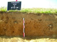 Cronica Cercetărilor Arheologice din România, Campania 2015. Raportul nr. 110, Temereşti, Dealul Vinii<br /><a href='CronicaCAfotografii/2015/110-Temeresti/fig2.JPG' target=_blank>Priveşte aceeaşi imagine într-o fereastră nouă</a>