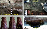 Cronica Cercetărilor Arheologice din România, Campania 2015. Raportul nr. 121, Costeşti, Cier (Lângă Şcoală)<br /><a href='CronicaCAfotografii/2015/121-Costesti/fig-6-costesti-1-diagnostic-diverse.jpg' target=_blank>Priveşte aceeaşi imagine într-o fereastră nouă</a>