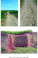 Chronicle of the Archaeological Excavations in Romania, 2015 Campaign. Report no. 125, Mihai Bravu, MB 75<br /><a href='CronicaCAfotografii/2015/125-Mihai-Bravu/plansa-04.jpg' target=_blank>Display the same picture in a new window</a>