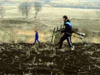 Cronica Cercetărilor Arheologice din România, Campania 2015. Raportul nr. 126, Scânteia, La Nuci (Dealul Bodeştilor).<br /> Sectorul Rezerve.<br /><a href='CronicaCAfotografii/2015/126-Scanteia/fig-2.JPG' target=_blank>Priveşte aceeaşi imagine într-o fereastră nouă</a>