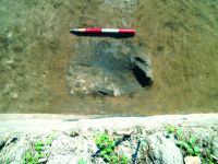 Cronica Cercetărilor Arheologice din România, Campania 2015. Raportul nr. 133, Cioroiu Nou, La Cetate<br /><a href='CronicaCAfotografii/2015/133-Cioroiu-Nou-Cetate/fig-3.JPG' target=_blank>Priveşte aceeaşi imagine într-o fereastră nouă</a>