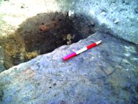 Cronica Cercetărilor Arheologice din România, Campania 2015. Raportul nr. 133, Cioroiu Nou, La Cetate<br /><a href='CronicaCAfotografii/2015/133-Cioroiu-Nou-Cetate/g-1.JPG' target=_blank>Priveşte aceeaşi imagine într-o fereastră nouă</a>