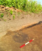 Cronica Cercetărilor Arheologice din România, Campania 2015. Raportul nr. 133, Cioroiu Nou, La Cetate<br /><a href='CronicaCAfotografii/2015/133-Cioroiu-Nou-Cetate/g-2.JPG' target=_blank>Priveşte aceeaşi imagine într-o fereastră nouă</a>