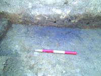 Cronica Cercetărilor Arheologice din România, Campania 2015. Raportul nr. 133, Cioroiu Nou, La Cetate<br /><a href='CronicaCAfotografii/2015/133-Cioroiu-Nou-Cetate/g-3.JPG' target=_blank>Priveşte aceeaşi imagine într-o fereastră nouă</a>