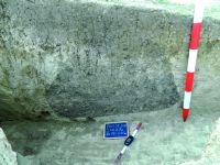 Cronica Cercetărilor Arheologice din România, Campania 2015. Raportul nr. 135, Fulgeriş, La Trei Cireşi (Dealul Fulgeriş).<br /> Sectorul Ilustratie.<br /><a href='CronicaCAfotografii/2015/135-Fulgeris/fig-7b-gr-53.JPG' target=_blank>Priveşte aceeaşi imagine într-o fereastră nouă</a>