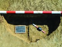 Cronica Cercetărilor Arheologice din România, Campania 2015. Raportul nr. 135, Fulgeriş, La Trei Cireşi (Dealul Fulgeriş).<br /> Sectorul Ilustratie.<br /><a href='CronicaCAfotografii/2015/135-Fulgeris/fig-8b-gr-55.JPG' target=_blank>Priveşte aceeaşi imagine într-o fereastră nouă</a>