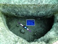 Cronica Cercetărilor Arheologice din România, Campania 2015. Raportul nr. 135, Fulgeriş, La Trei Cireşi (Dealul Fulgeriş).<br /> Sectorul Ilustratie.<br /><a href='CronicaCAfotografii/2015/135-Fulgeris/fig-8c-gr-55.JPG' target=_blank>Priveşte aceeaşi imagine într-o fereastră nouă</a>