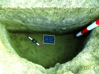 Cronica Cercetărilor Arheologice din România, Campania 2015. Raportul nr. 135, Fulgeriş, La Trei Cireşi (Dealul Fulgeriş).<br /> Sectorul Ilustratie.<br /><a href='CronicaCAfotografii/2015/135-Fulgeris/fig-8d-gr-55.JPG' target=_blank>Priveşte aceeaşi imagine într-o fereastră nouă</a>