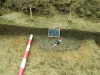 Cronica Cercetărilor Arheologice din România, Campania 2015. Raportul nr. 135, Fulgeriş, La Trei Cireşi (Dealul Fulgeriş).<br /> Sectorul Ilustratie.<br /><a href='CronicaCAfotografii/2015/135-Fulgeris/fig-9a-gr-56.JPG' target=_blank>Priveşte aceeaşi imagine într-o fereastră nouă</a>