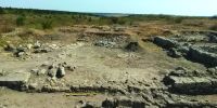 Chronicle of the Archaeological Excavations in Romania, 2016 Campaign. Report no. 4, Albeşti, La Cetate<br /><a href='CronicaCAfotografii/2016/004-Albesti-CT-Punct-Cetate/fig-4.jpg' target=_blank>Display the same picture in a new window</a>