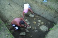 Cronica Cercetărilor Arheologice din România, Campania 2016. Raportul nr. 12, Vadu Săpat, Puţul Tătarului (Budureasca 4 Nord)<br /><a href='CronicaCAfotografii/2016/012-Budureasca-PH-Punct-Budureasca-4-Putul-Tatarului/plansa-i-a-budureasca.jpg' target=_blank>Priveşte aceeaşi imagine într-o fereastră nouă</a>