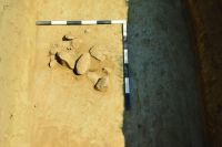 Cronica Cercetărilor Arheologice din România, Campania 2016. Raportul nr. 12, Vadu Săpat, Puţul Tătarului (Budureasca 4 Nord)<br /><a href='CronicaCAfotografii/2016/012-Budureasca-PH-Punct-Budureasca-4-Putul-Tatarului/plansa-iii-a-budureasca.jpg' target=_blank>Priveşte aceeaşi imagine într-o fereastră nouă</a>