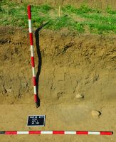 Cronica Cercetărilor Arheologice din România, Campania 2016. Raportul nr. 12, Vadu Săpat, Puţul Tătarului (Budureasca 4 Nord)<br /><a href='CronicaCAfotografii/2016/012-Budureasca-PH-Punct-Budureasca-4-Putul-Tatarului/plansa-iv-1-budureasca.jpg' target=_blank>Priveşte aceeaşi imagine într-o fereastră nouă</a>