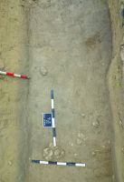 Cronica Cercetărilor Arheologice din România, Campania 2016. Raportul nr. 12, Vadu Săpat, Puţul Tătarului (Budureasca 4 Nord)<br /><a href='CronicaCAfotografii/2016/012-Budureasca-PH-Punct-Budureasca-4-Putul-Tatarului/plansa-iv-4-budureasca.jpg' target=_blank>Priveşte aceeaşi imagine într-o fereastră nouă</a>