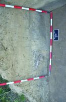 Cronica Cercetărilor Arheologice din România, Campania 2016. Raportul nr. 12, Vadu Săpat, Puţul Tătarului (Budureasca 4 Nord)<br /><a href='CronicaCAfotografii/2016/012-Budureasca-PH-Punct-Budureasca-4-Putul-Tatarului/plansa-v-1-budureasca.jpg' target=_blank>Priveşte aceeaşi imagine într-o fereastră nouă</a>