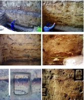 Chronicle of the Archaeological Excavations in Romania, 2016 Campaign. Report no. 18, Cheia, Pazvant III.<br /> Sector ILUSTRATIE-CHEIA-2017.<br /><a href='CronicaCAfotografii/2016/018-Cheia-CT-Punct-Vatra-Satului-Pestera-Craniilor/pl-7.jpg' target=_blank>Display the same picture in a new window</a>