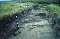 Chronicle of the Archaeological Excavations in Romania, 2016 Campaign. Report no. 25, Dunăreni, Dealul Muzait<br /><a href='CronicaCAfotografii/2016/025-Dunareni-CT-Punct-Sacidava/fig-3-paviment-de-caramida.jpg' target=_blank>Display the same picture in a new window</a>