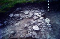 Chronicle of the Archaeological Excavations in Romania, 2016 Campaign. Report no. 25, Dunăreni, Dealul Muzait<br /><a href='CronicaCAfotografii/2016/025-Dunareni-CT-Punct-Sacidava/fig-c1a-paviment-piatra.jpg' target=_blank>Display the same picture in a new window</a>