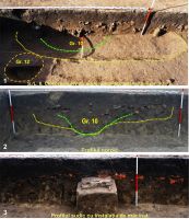 Cronica Cercetărilor Arheologice din România, Campania 2016. Raportul nr. 64, Ripiceni, La Holm (La Telescu)<br /><a href='CronicaCAfotografii/2016/064-Ripiceni-BT-Punct-Holm-Telescu/fig-6-ripiceni-017-s-l-6-2.jpg' target=_blank>Priveşte aceeaşi imagine într-o fereastră nouă</a>