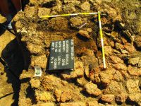 Cronica Cercetărilor Arheologice din România, Campania 2016. Raportul nr. 71, Scânteia, La Nuci (Dealul Bodeştilor).<br /> Sectorul Rezerve.<br /><a href='CronicaCAfotografii/2016/071-Scanteia-IS-Punct-La-Nuci/fig-8-idol-a5.JPG' target=_blank>Priveşte aceeaşi imagine într-o fereastră nouă</a>