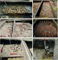 Chronicle of the Archaeological Excavations in Romania, 2016 Campaign. Report no. 76, Tăcuta, Dealul Miclea (Paic)<br /><a href='CronicaCAfotografii/2016/076-Tacuta-VS-Punct-Dealul-Miclea-Paic/fig-3-tacuta-017-cas-ii-v.jpg' target=_blank>Display the same picture in a new window</a>