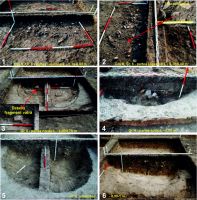 Chronicle of the Archaeological Excavations in Romania, 2016 Campaign. Report no. 76, Tăcuta, Dealul Miclea (Paic)<br /><a href='CronicaCAfotografii/2016/076-Tacuta-VS-Punct-Dealul-Miclea-Paic/fig-4-tacuta-017-cas-v-gr-6.jpg' target=_blank>Display the same picture in a new window</a>