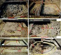 Chronicle of the Archaeological Excavations in Romania, 2016 Campaign. Report no. 76, Tăcuta, Dealul Miclea (Paic)<br /><a href='CronicaCAfotografii/2016/076-Tacuta-VS-Punct-Dealul-Miclea-Paic/fig-5-tacuta-017-cas-vi-gr-7.jpg' target=_blank>Display the same picture in a new window</a>