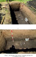 Cronica Cercetărilor Arheologice din România, Campania 2016. Raportul nr. 97, Cavadineşti, Râpa Glodului<br /><a href='CronicaCAfotografii/2016/097-Cavadinesti-GL-Punct-Cavadinesti-Rapa-Glodului/pl-5.jpg' target=_blank>Priveşte aceeaşi imagine într-o fereastră nouă</a>
