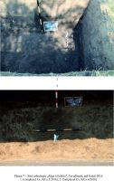 Cronica Cercetărilor Arheologice din România, Campania 2016. Raportul nr. 97, Cavadineşti, Râpa Glodului<br /><a href='CronicaCAfotografii/2016/097-Cavadinesti-GL-Punct-Cavadinesti-Rapa-Glodului/pl-7.jpg' target=_blank>Priveşte aceeaşi imagine într-o fereastră nouă</a>