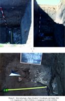 Cronica Cercetărilor Arheologice din România, Campania 2016. Raportul nr. 97, Cavadineşti, Râpa Glodului<br /><a href='CronicaCAfotografii/2016/097-Cavadinesti-GL-Punct-Cavadinesti-Rapa-Glodului/pl-8.jpg' target=_blank>Priveşte aceeaşi imagine într-o fereastră nouă</a>