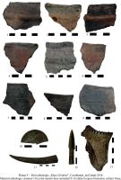 Cronica Cercetărilor Arheologice din România, Campania 2016. Raportul nr. 97, Cavadineşti, Râpa Glodului<br /><a href='CronicaCAfotografii/2016/097-Cavadinesti-GL-Punct-Cavadinesti-Rapa-Glodului/pl-9.jpg' target=_blank>Priveşte aceeaşi imagine într-o fereastră nouă</a>