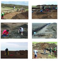 Chronicle of the Archaeological Excavations in Romania, 2016 Campaign. Report no. 107, Moftinu Mare, Hamiliz<br /><a href='CronicaCAfotografii/2016/107-Moftinu-Mare-SM-Punct-Moftinu-Mare-Hamiliz/plansa-1.jpg' target=_blank>Display the same picture in a new window</a>