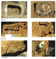 Chronicle of the Archaeological Excavations in Romania, 2016 Campaign. Report no. 107, Moftinu Mare, Hamiliz<br /><a href='CronicaCAfotografii/2016/107-Moftinu-Mare-SM-Punct-Moftinu-Mare-Hamiliz/plansa-2.jpg' target=_blank>Display the same picture in a new window</a>