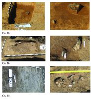 Chronicle of the Archaeological Excavations in Romania, 2016 Campaign. Report no. 107, Moftinu Mare, Hamiliz<br /><a href='CronicaCAfotografii/2016/107-Moftinu-Mare-SM-Punct-Moftinu-Mare-Hamiliz/plansa-3.jpg' target=_blank>Display the same picture in a new window</a>