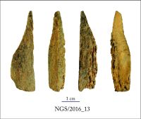 Cronica Cercetărilor Arheologice din România, Campania 2016. Raportul nr. 109, Negrileşti, Şcoala Generală (La Punte, Pin, Curtea Şcolii).<br /> Sectorul 2-Industria-materiilor-dure-animale.<br /><a href='CronicaCAfotografii/2016/109-Negrilesti-GL-Punct-Negrilesti-Curtea-scolii/2-Industria-materiilor-dure-animale/13.jpg' target=_blank>Priveşte aceeaşi imagine într-o fereastră nouă</a>. Titlu: 2-Industria-materiilor-dure-animale