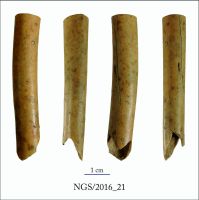 Cronica Cercetărilor Arheologice din România, Campania 2016. Raportul nr. 109, Negrileşti, Şcoala Generală (La Punte, Pin, Curtea Şcolii).<br /> Sectorul 2-Industria-materiilor-dure-animale.<br /><a href='CronicaCAfotografii/2016/109-Negrilesti-GL-Punct-Negrilesti-Curtea-scolii/2-Industria-materiilor-dure-animale/21.jpg' target=_blank>Priveşte aceeaşi imagine într-o fereastră nouă</a>. Titlu: 2-Industria-materiilor-dure-animale